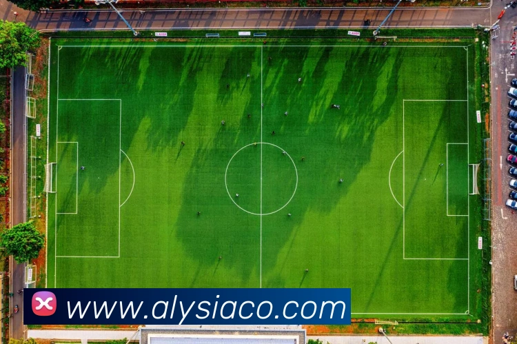多彩内容专区